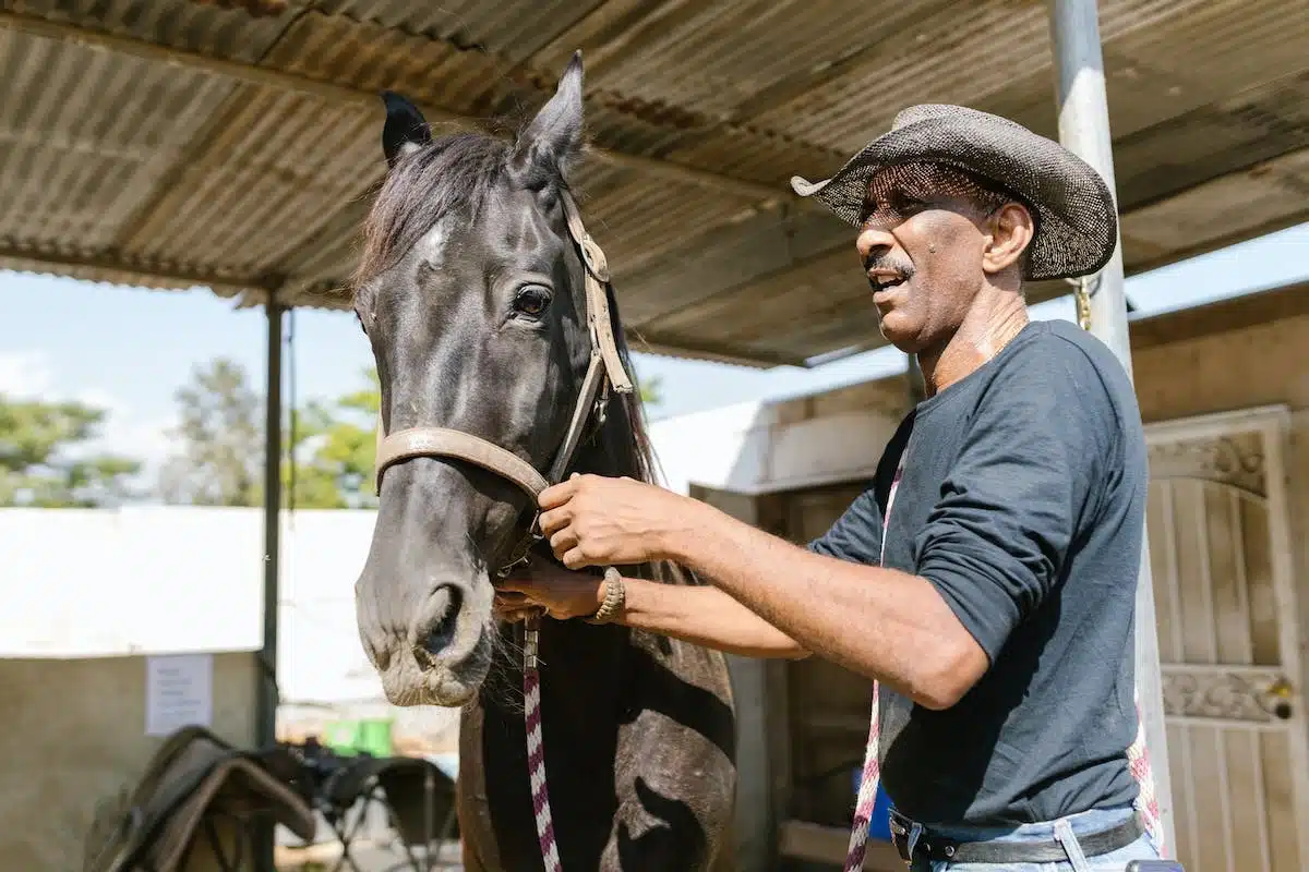 Les étapes pour devenir soigneur animalier après la 3ème