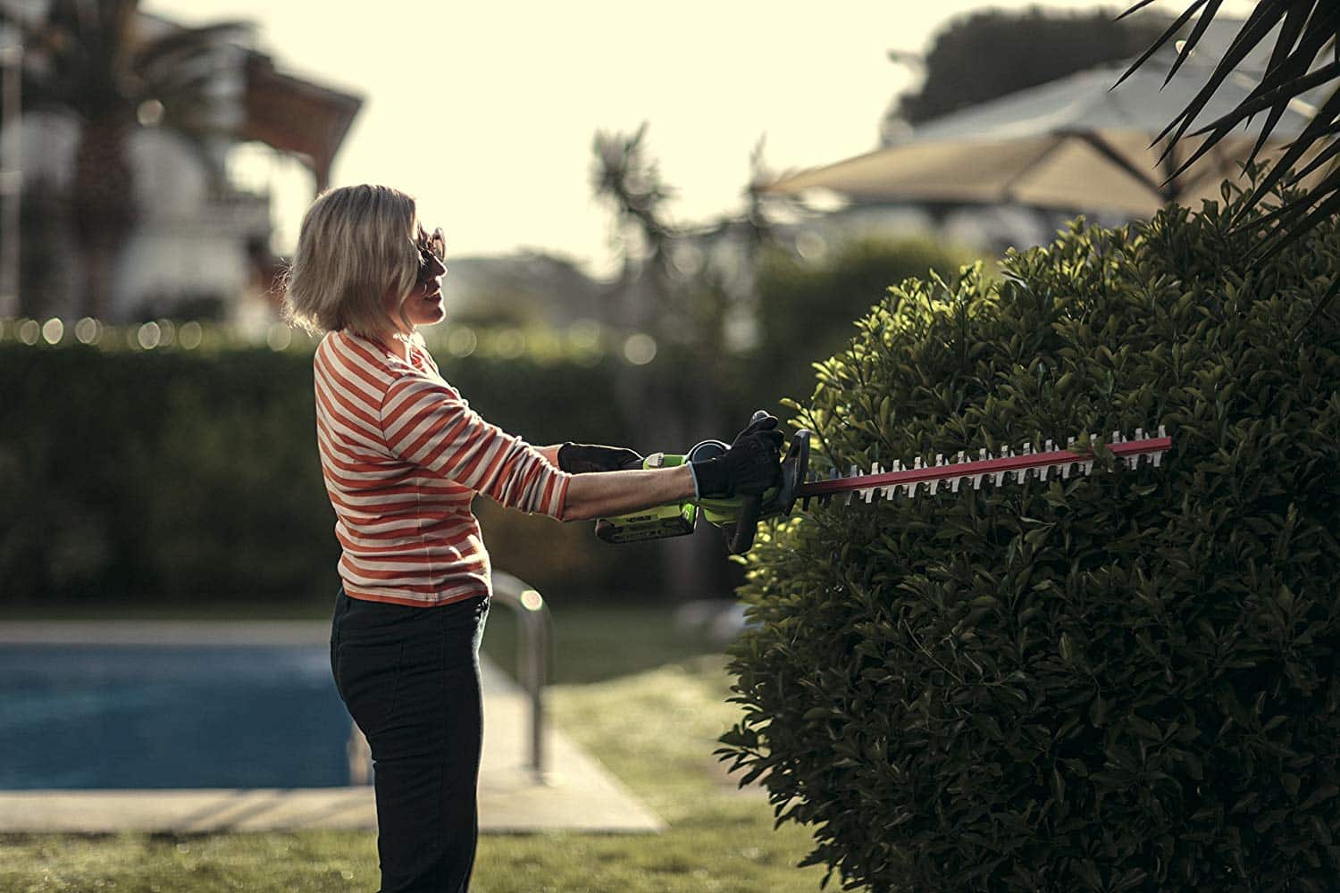 Taille-haie ou débroussailleuse, connaissez-vous ces outils de jardinage ?